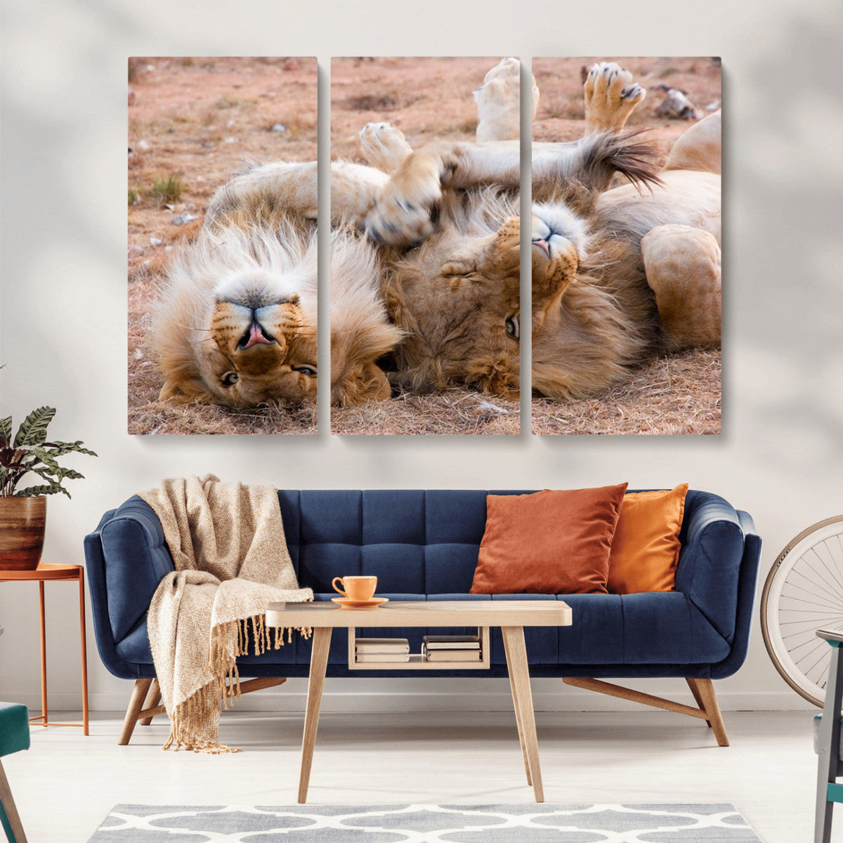 Lion Pair Wall Art Canvas Print – Framed Wildlife Scene with