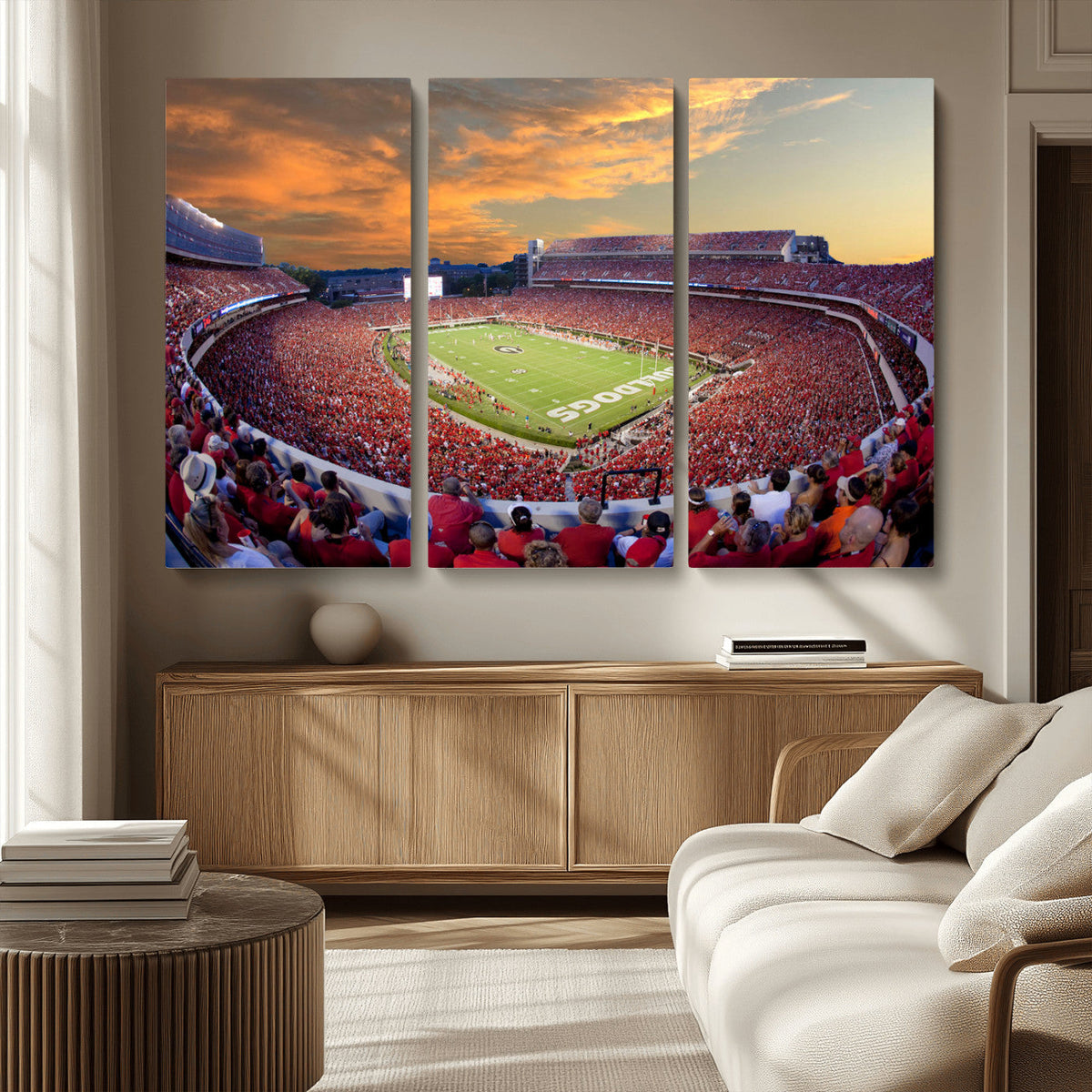 Dooley Stadium Wall Art, Sports Arena Canvas Print, Dooley
