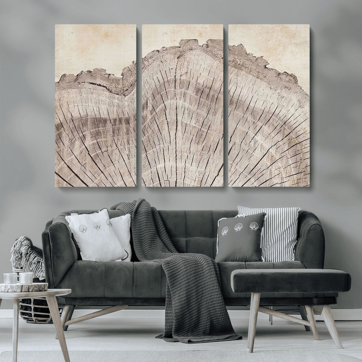 Tree Ring Wall Art Triptych, Rustic Wood Ring Canvas Print,