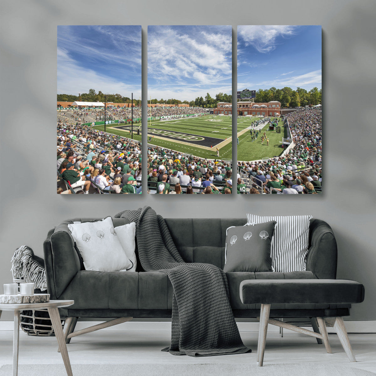 University of Charlotte 49ers Football Team Print -