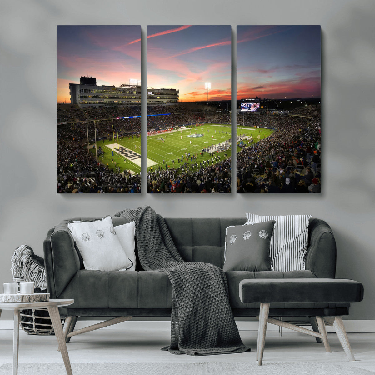 The University of Connecticut UCONN Huskies Football Team