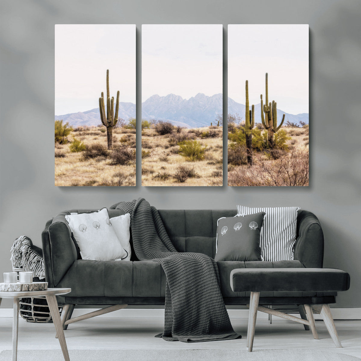 Arizona Desert Wall Art Print | Arizona Desert Canvas Print
