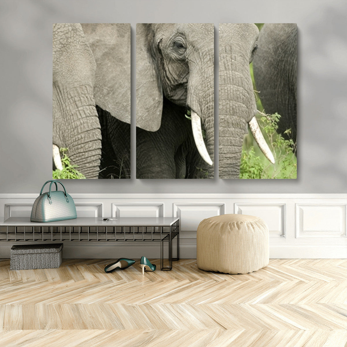 Wild Elephant Wall Art Canvas Print