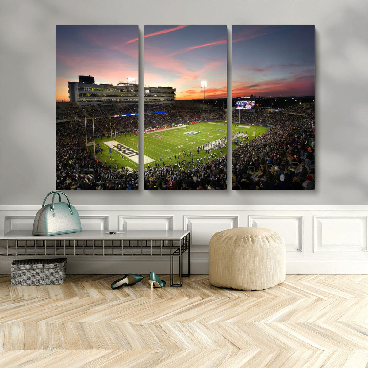 The University of Connecticut UCONN Huskies Football Team