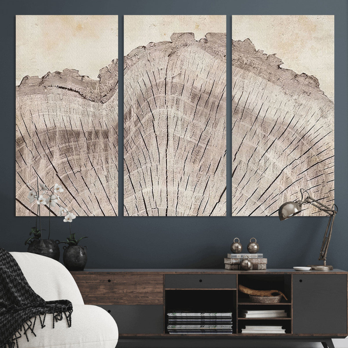 Tree Ring Wall Art Triptych, Rustic Wood Ring Canvas Print,