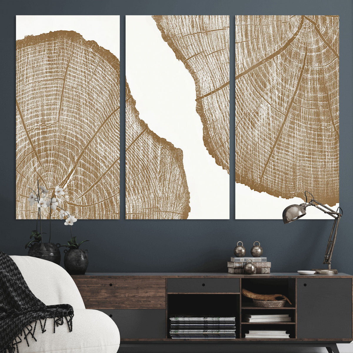 Rustic Brown Tree Ring Wall Art Canvas Print – Framed and