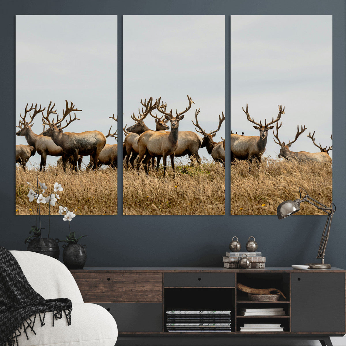 Elk Herd Wall Art Canvas Print – Framed Wildlife Photography