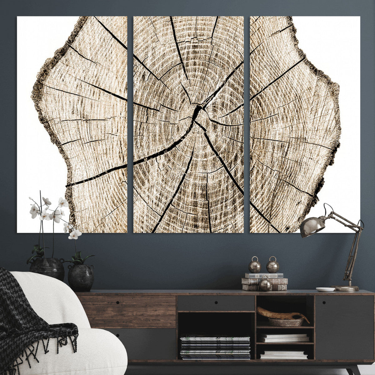 Abstract Wood Tree Ring Wall Art - Ready to Hang Minimalist
