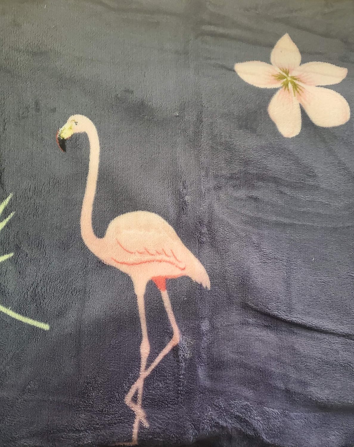 Soft Fleece Throw Blanket 50x60 – Lightweight Cozy Bed Couch Sofa Blanket for All Seasons