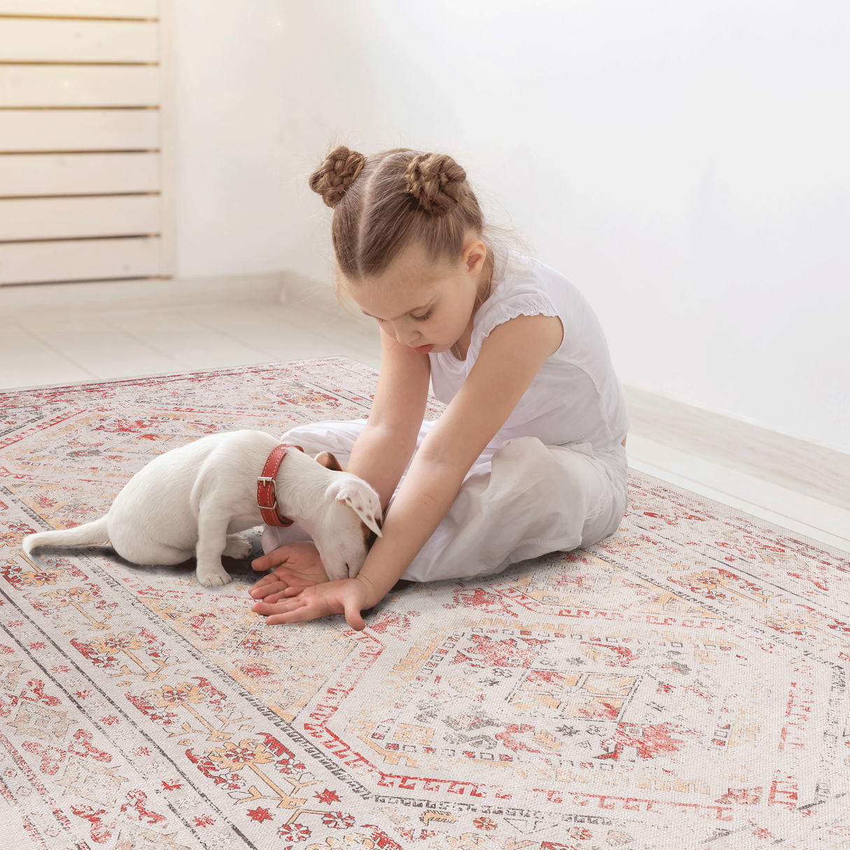 Naar Washable Area Rugs, Low-Pile, Non-Slip, Non-Shedding, Foldable, Kid & Pet Friendly