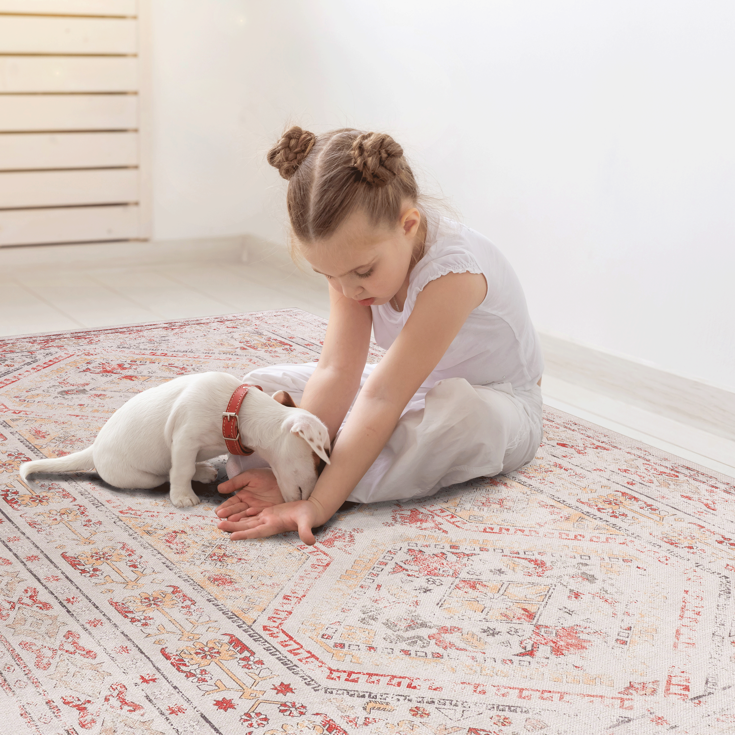 Naar Washable Area Rugs, Low-Pile, Non-Slip, Non-Shedding, Foldable, Kid & Pet Friendly