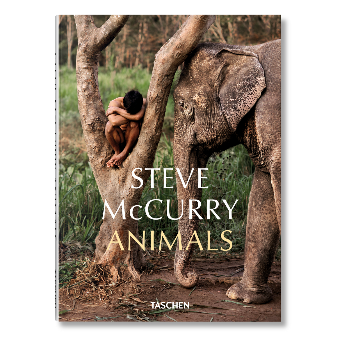 Steve McCurry. Animals (English)