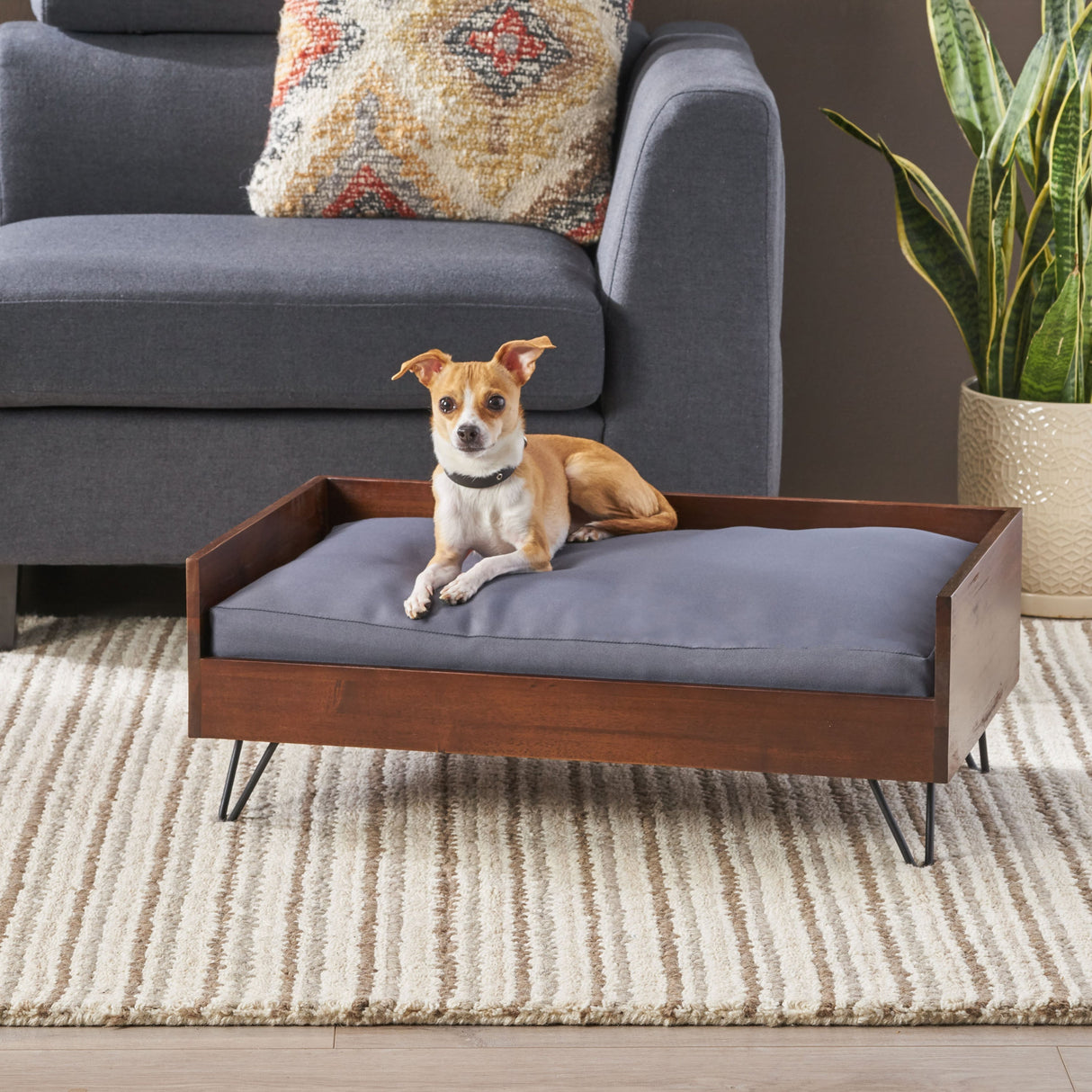 Acacia Wood Dog Bed with Sleek Hairpin Legs