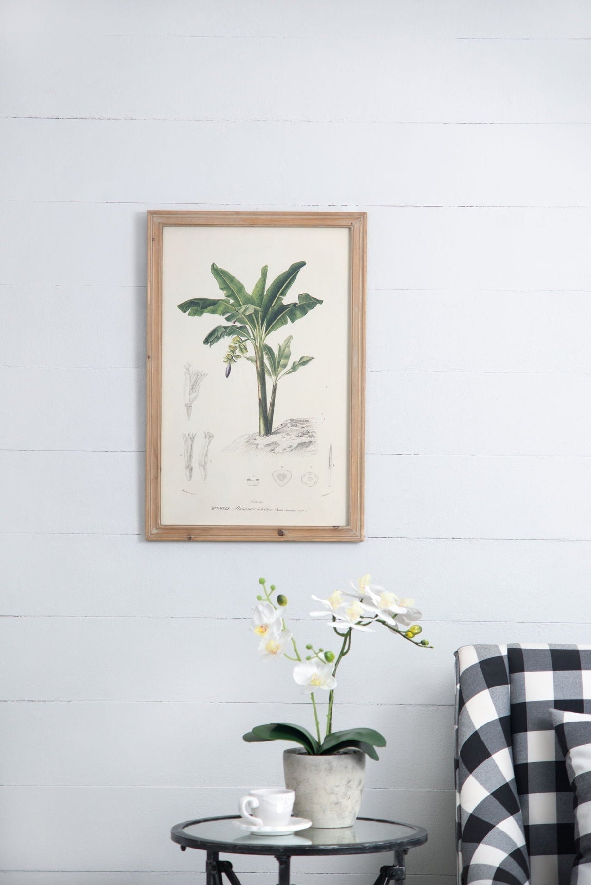 Tree Framed Print Set of 2 - Multicolor Botanical Wall Art