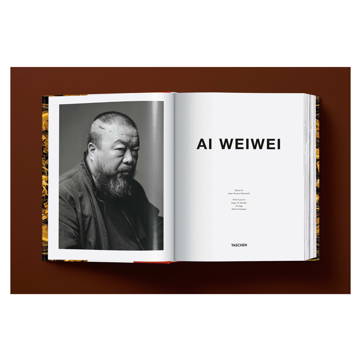 Ai Weiwei. Updated Edition (German, French, English)