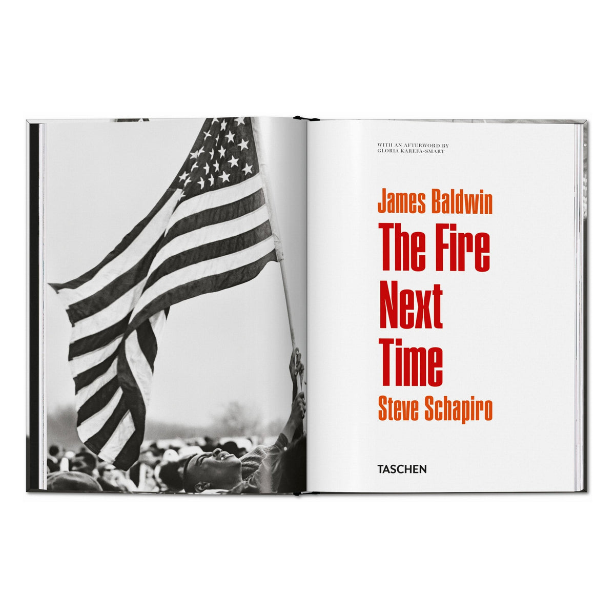 James Baldwin. Steve Schapiro. The Fire Next Time (English)