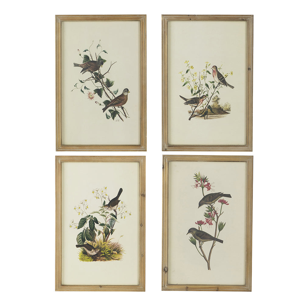 Set of 4 Bird Framed Prints