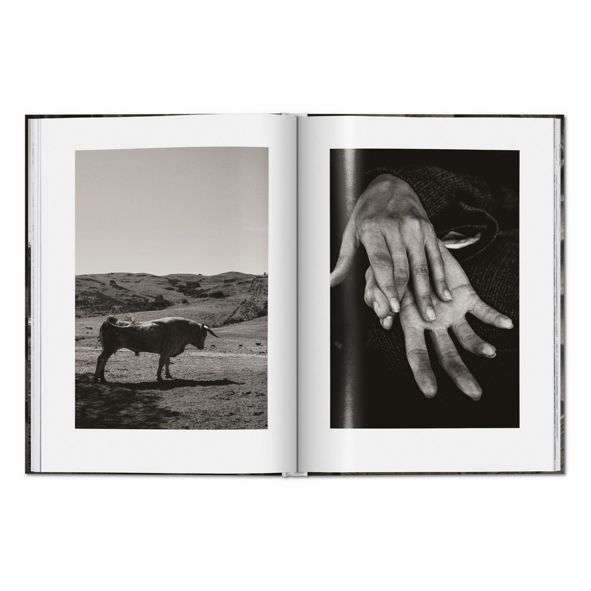 Peter Lindbergh. Untold Stories (English)