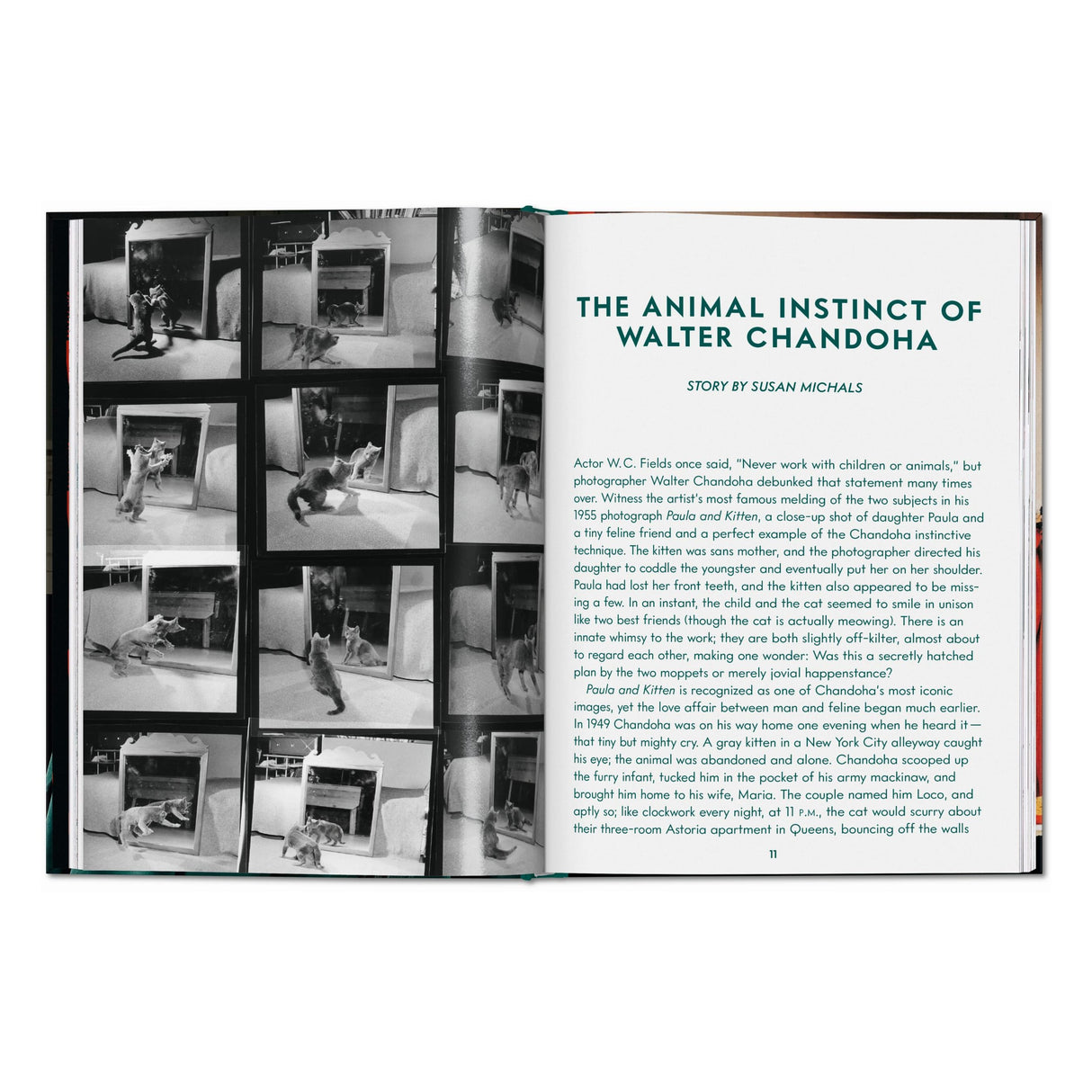 Walter Chandoha. Cats. Photographs 1942–2018 (English)