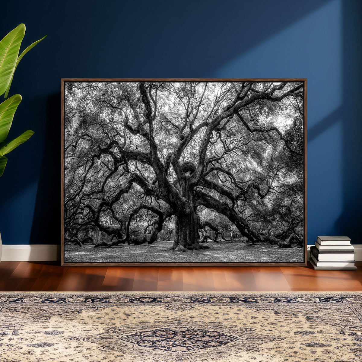 Black and White Old Angel Oak Tree Wall Art Canvas Print