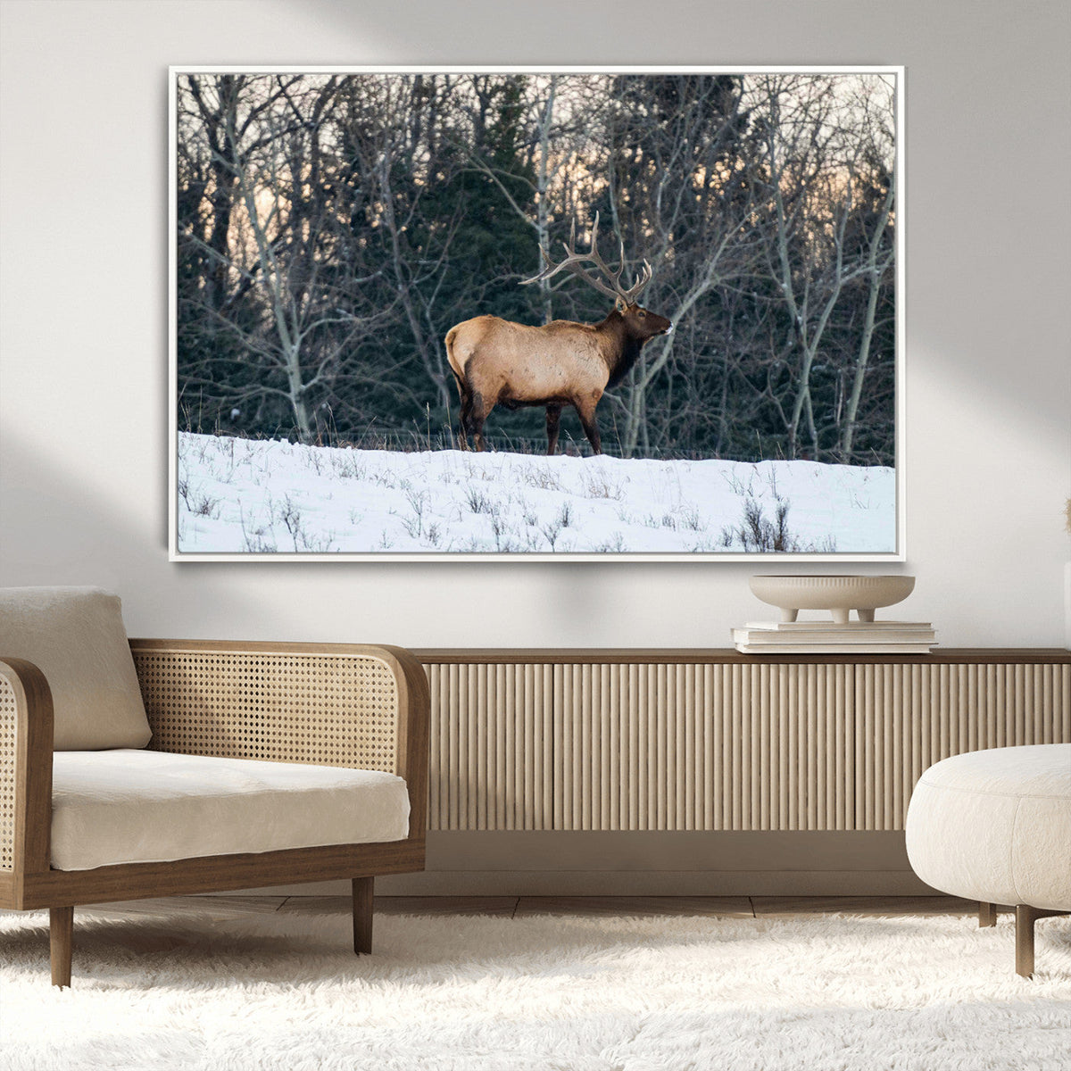 Wild Elk Wall Art Canvas Print – Framed Winter Wildlife