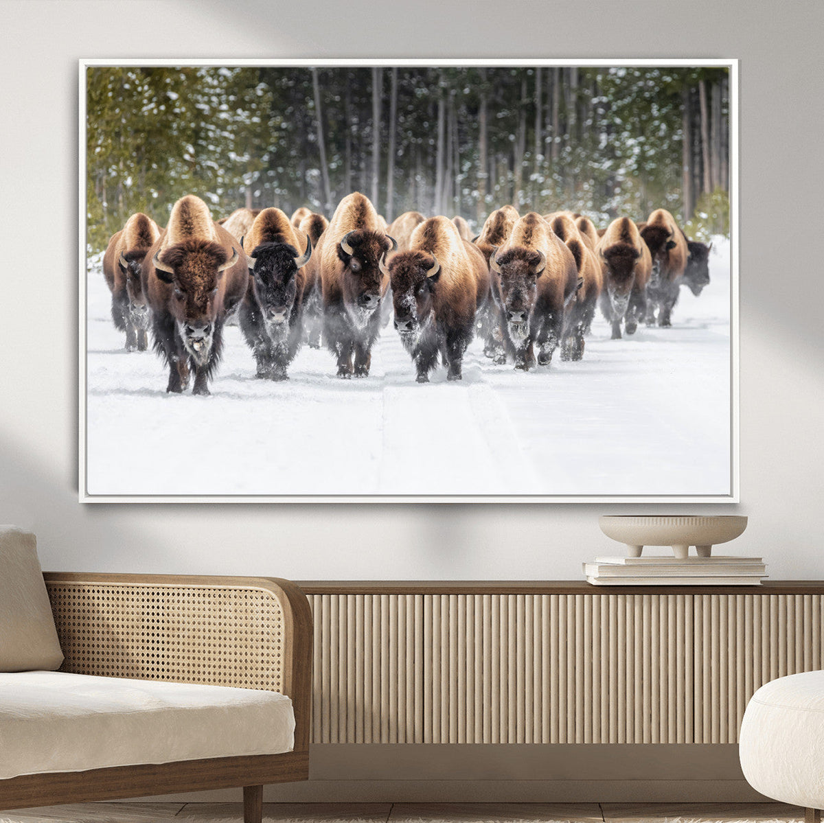 American Bison Herd Wall Art Canvas Print – Powerful Winter