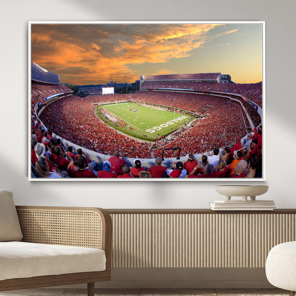 Dooley Stadium Wall Art, Sports Arena Canvas Print, Dooley