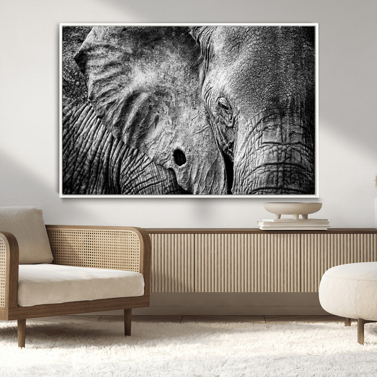 Wild Old Elephant Wall Art Canvas Print