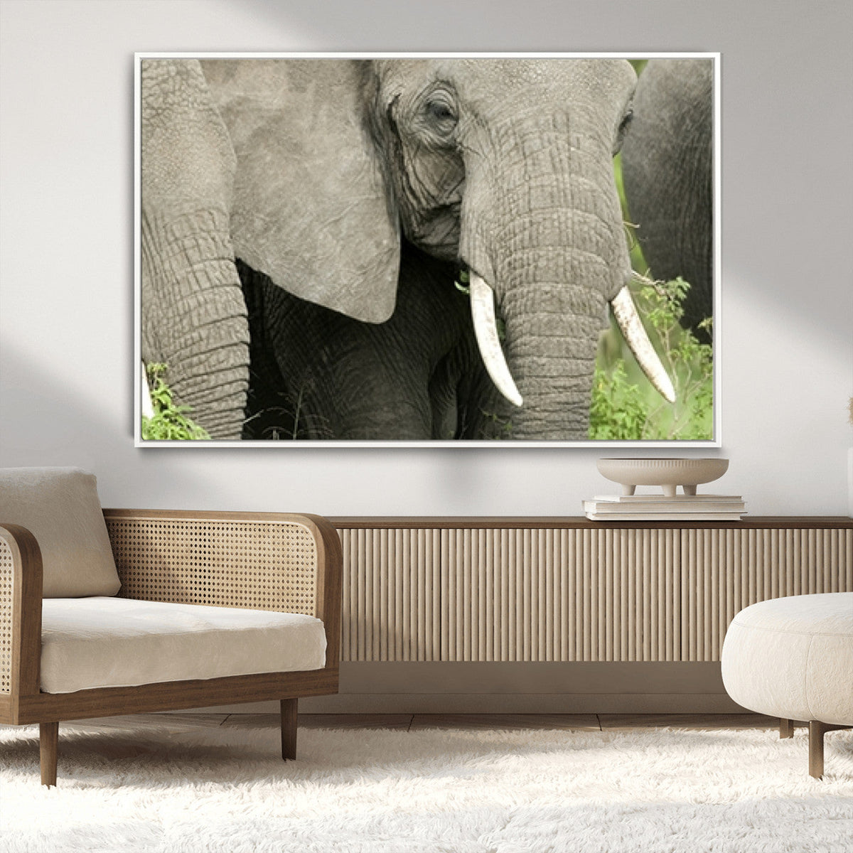 Wild Elephant Wall Art Canvas Print