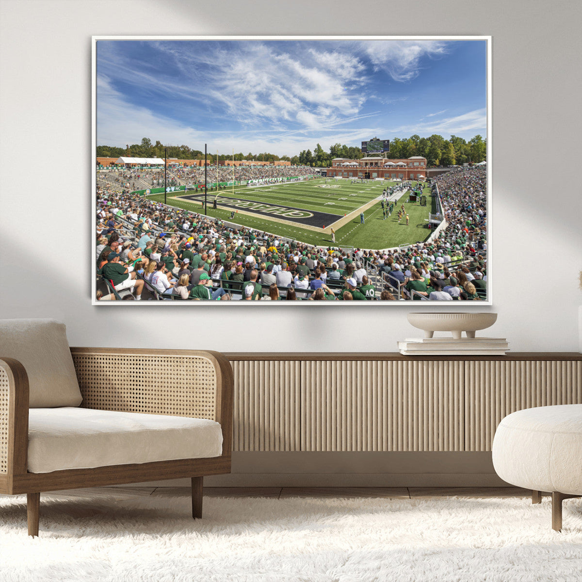University of Charlotte 49ers Football Team Print -