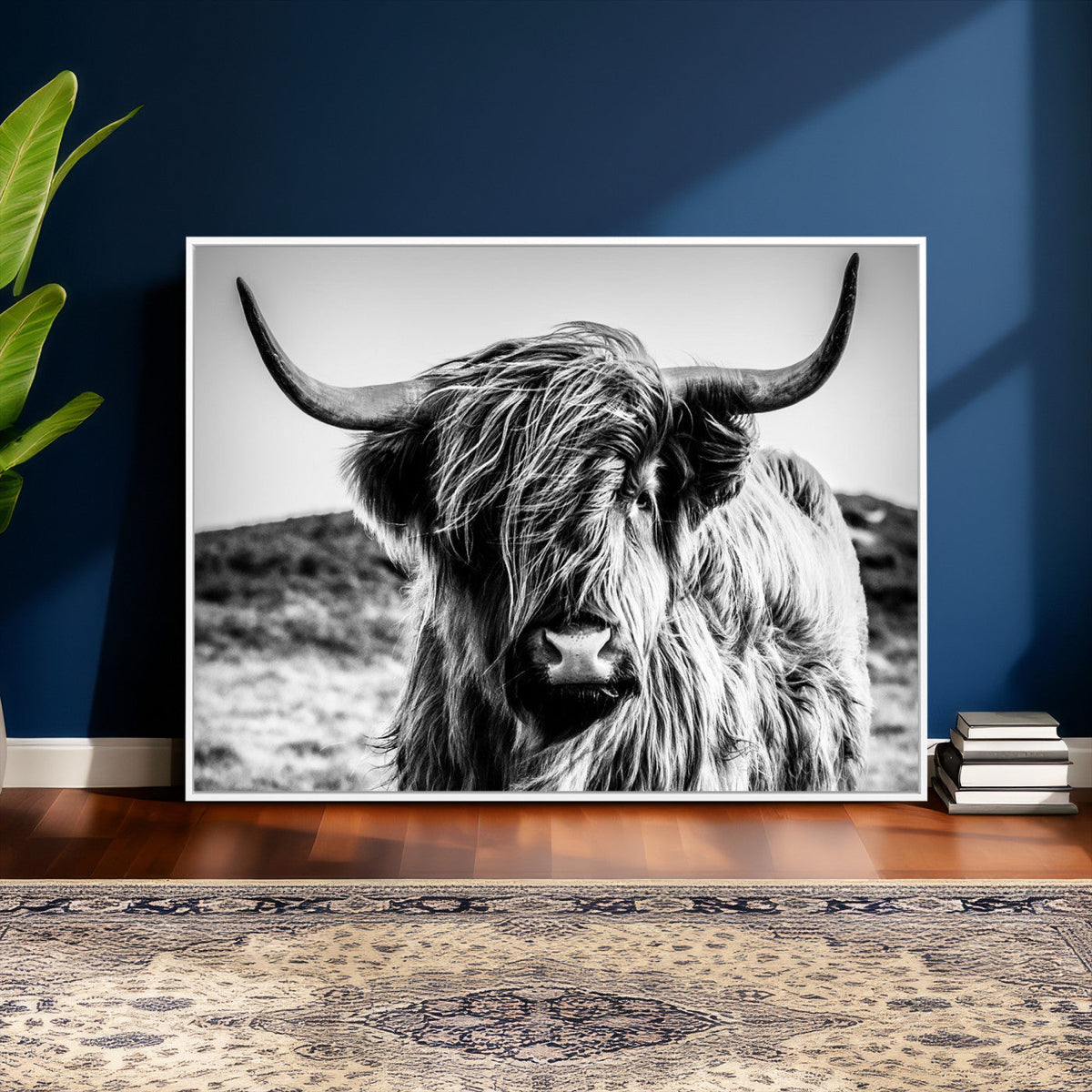 Black and White Scottish Cow Canvas Wall Art Highland Cattle