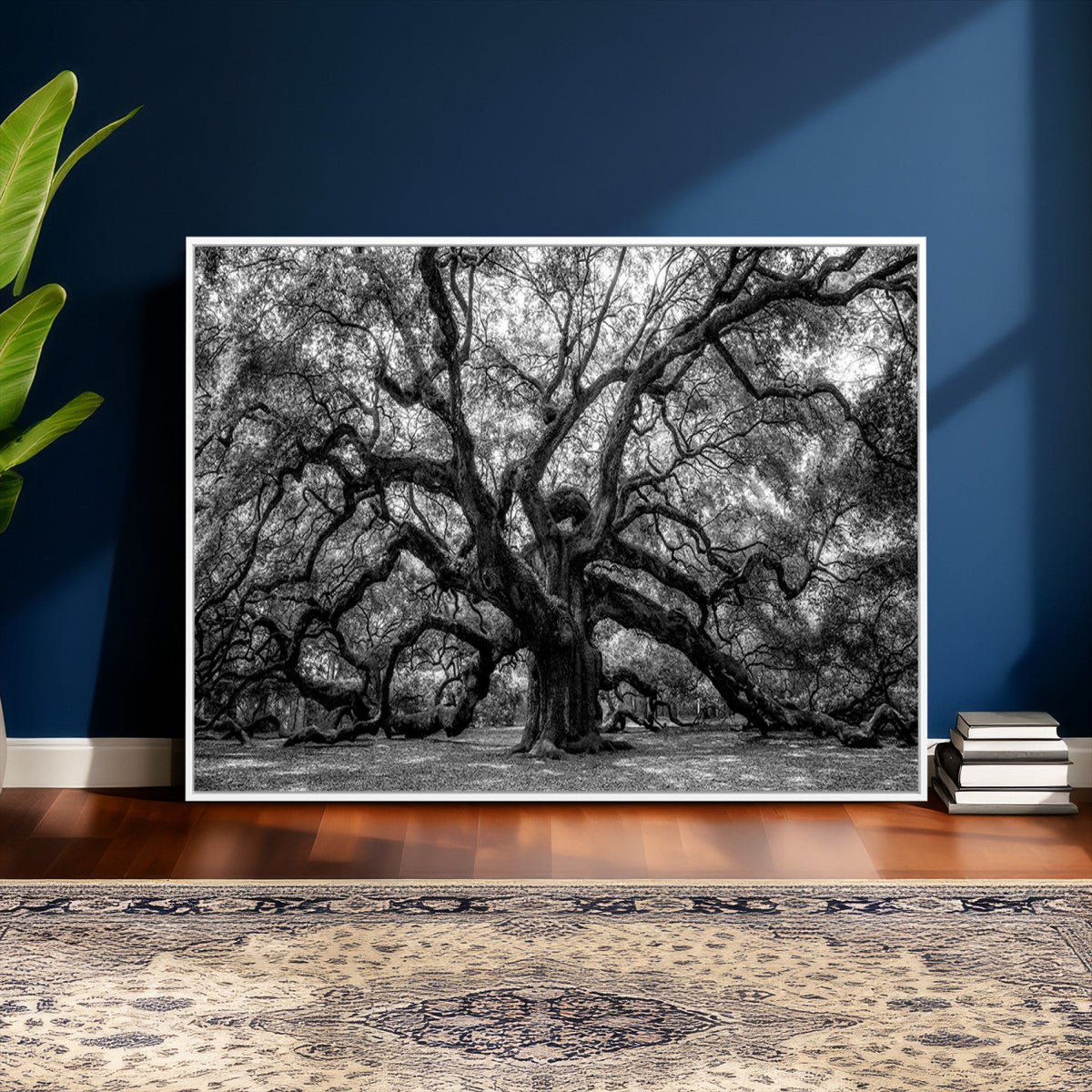 Black and White Old Angel Oak Tree Wall Art Canvas Print