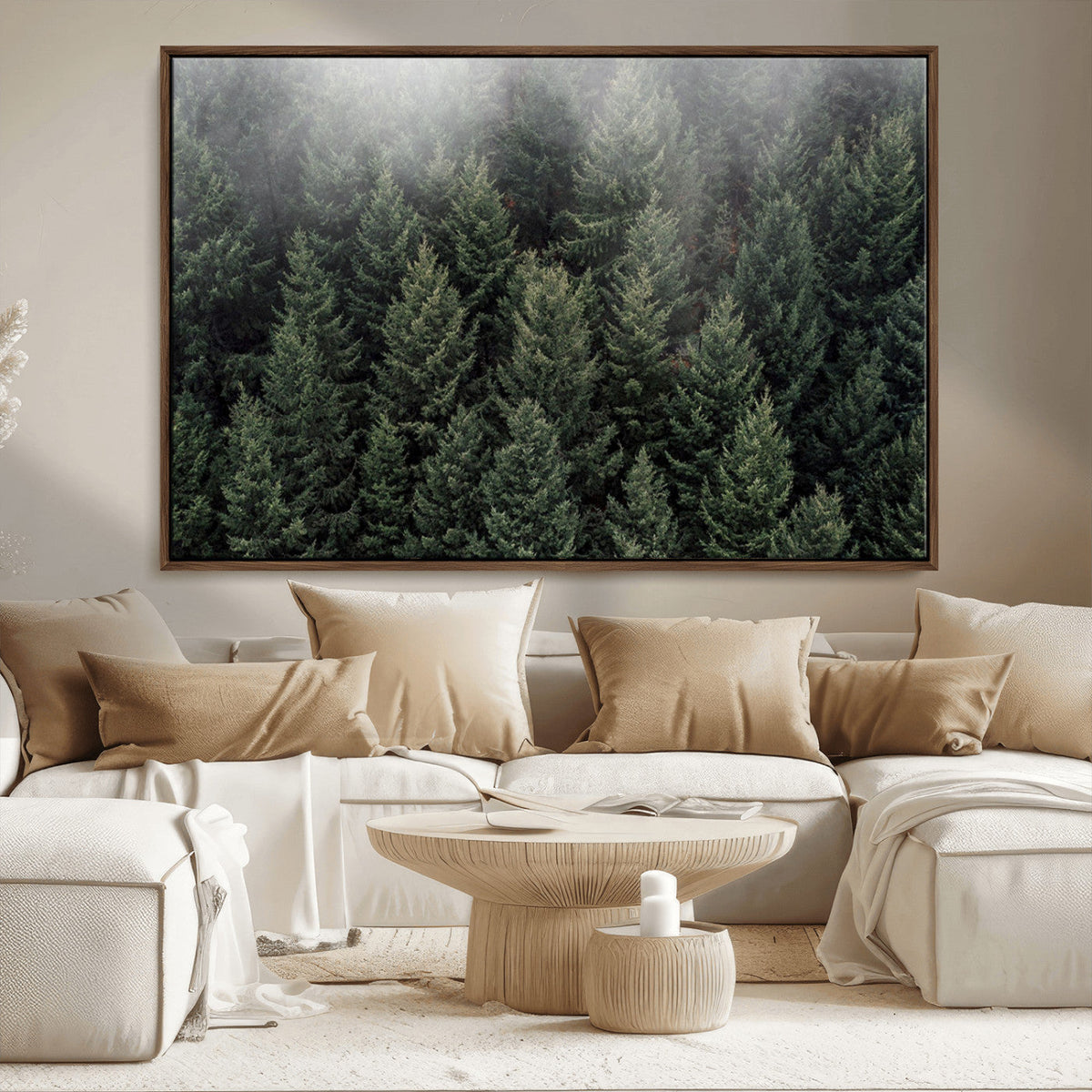 Dense Evergreen Forest Misty Morning Fog Pine Trees Woodland