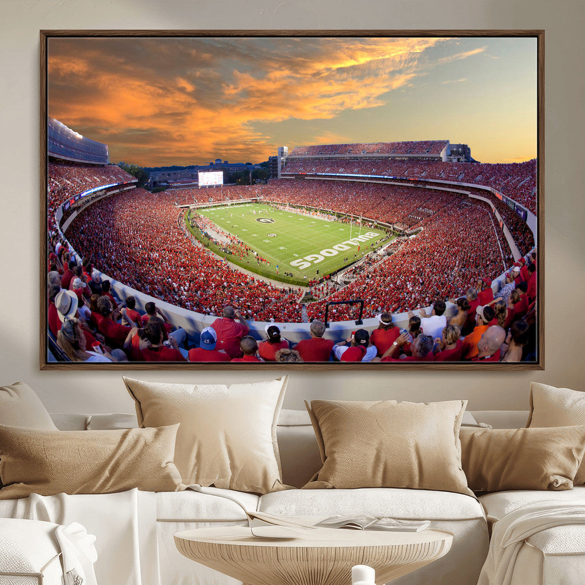 Dooley Stadium Wall Art, Sports Arena Canvas Print, Dooley