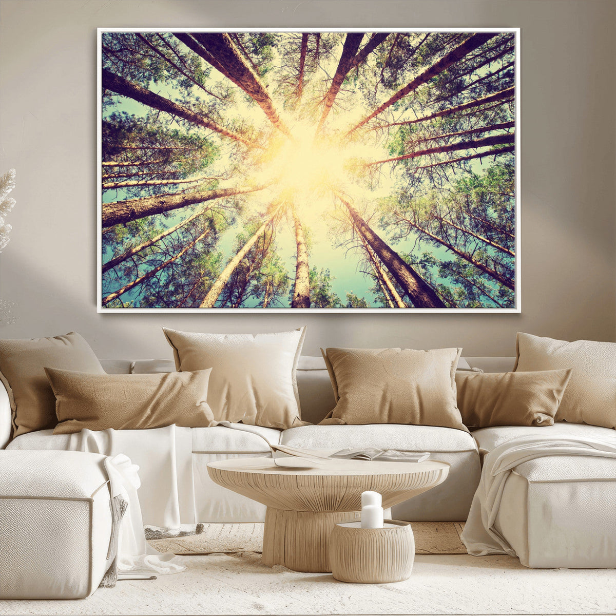 Tree and Sunshine Canvas Print