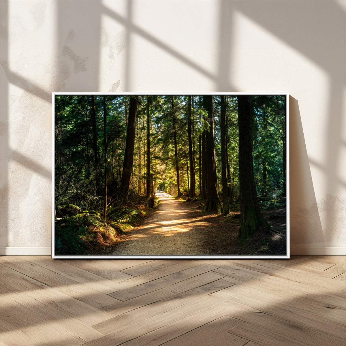 Sunlit Forest Pathway Canvas Print | 3 Panel Large Nature