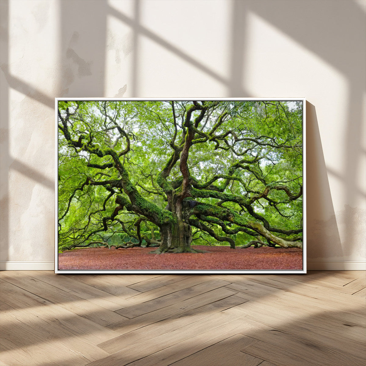 Framed Angel Oak Tree Wall Art - 3-Panel Canvas Prints,