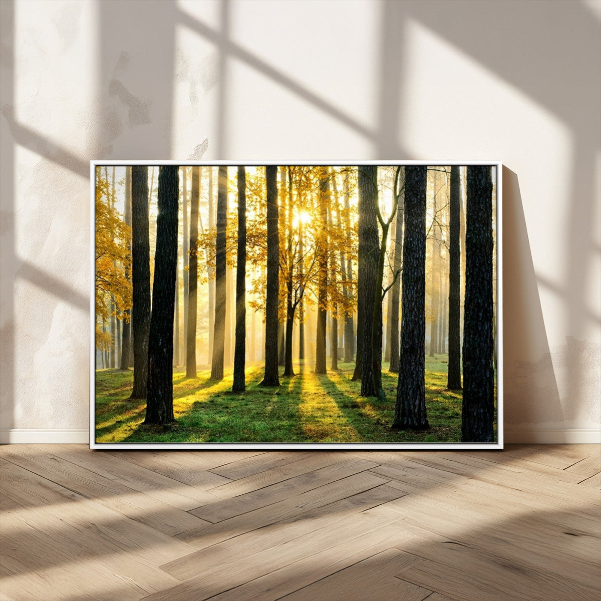 Sunlit Forest Wall Art Canvas Print – Large Framed Woodland