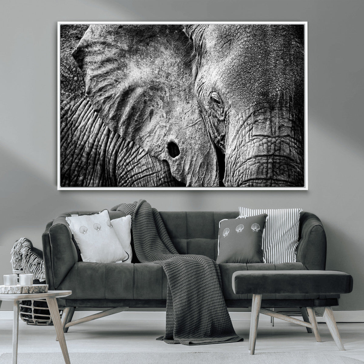 Wild Old Elephant Wall Art Canvas Print