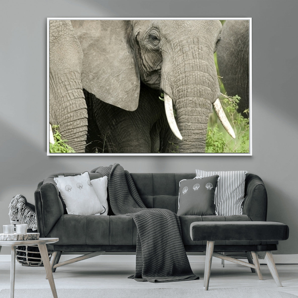Wild Elephant Wall Art Canvas Print