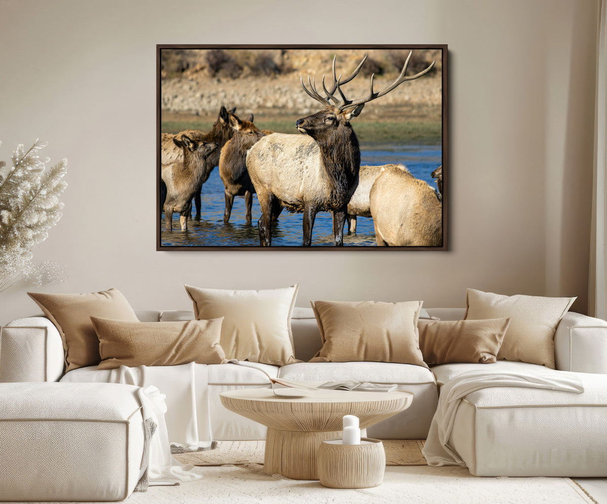Wild Elk Wall Art Canvas Print – Framed Neutral Wildlife