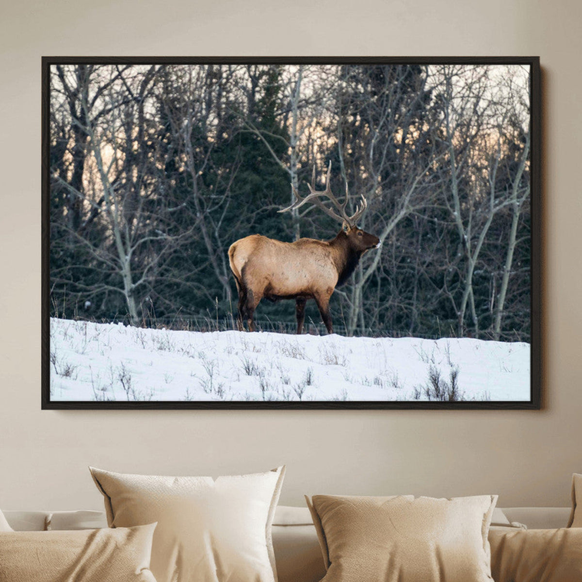 Wild Elk Wall Art Canvas Print – Framed Winter Wildlife