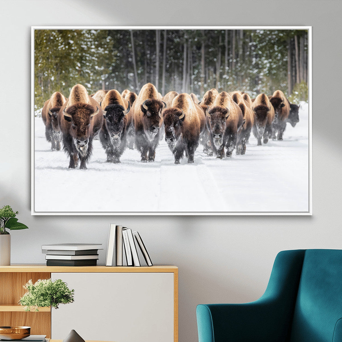American Bison Herd Wall Art Canvas Print – Powerful Winter