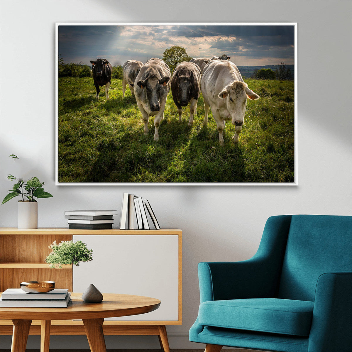 Grazing Cattle Herd Pasture Green Field Livestock Natural