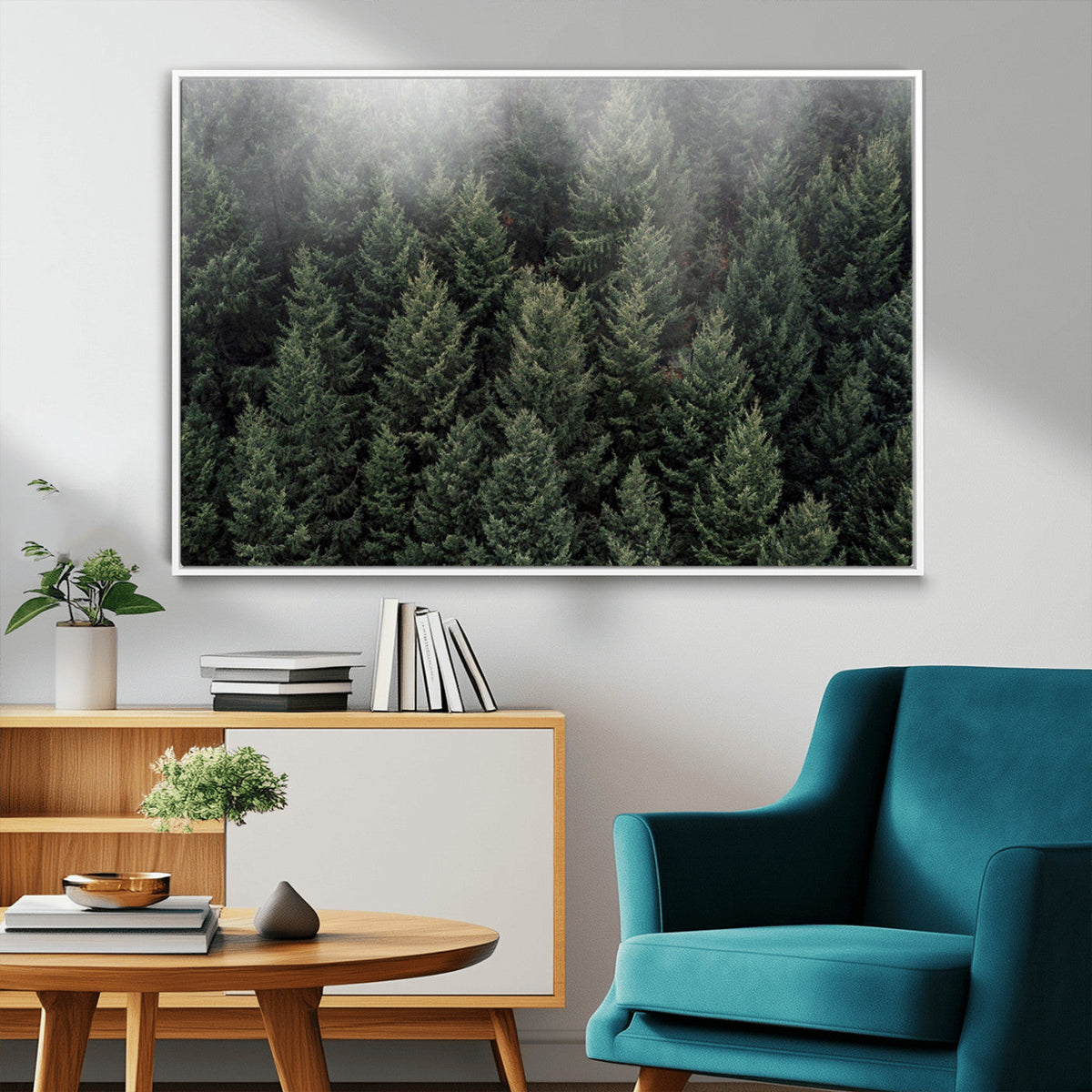 Dense Evergreen Forest Misty Morning Fog Pine Trees Woodland