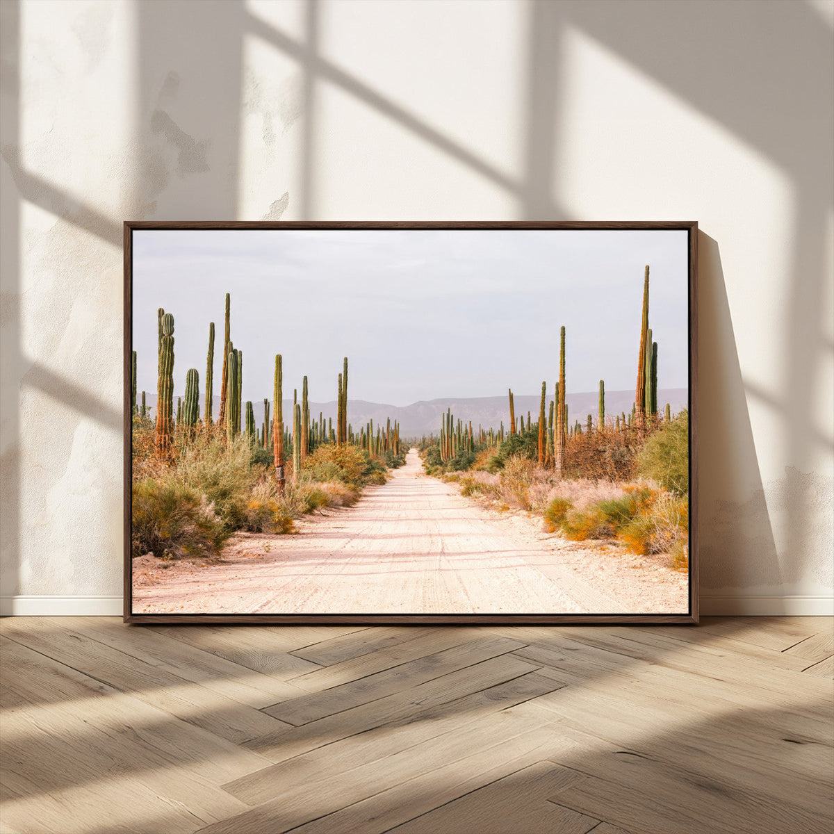 Desert Cactus Lined Road Wall Art Canvas Print – Framed