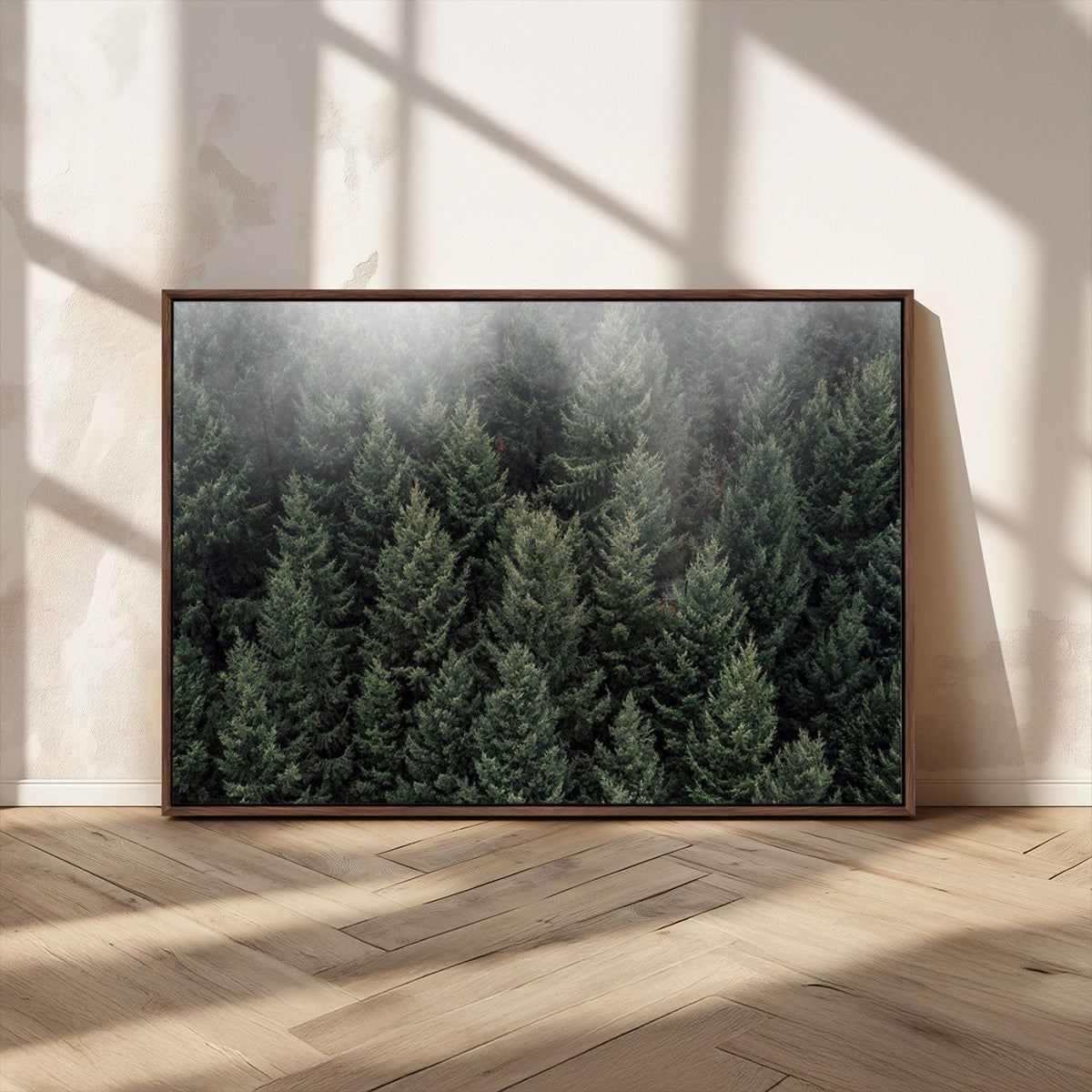 Dense Evergreen Forest Misty Morning Fog Pine Trees Woodland