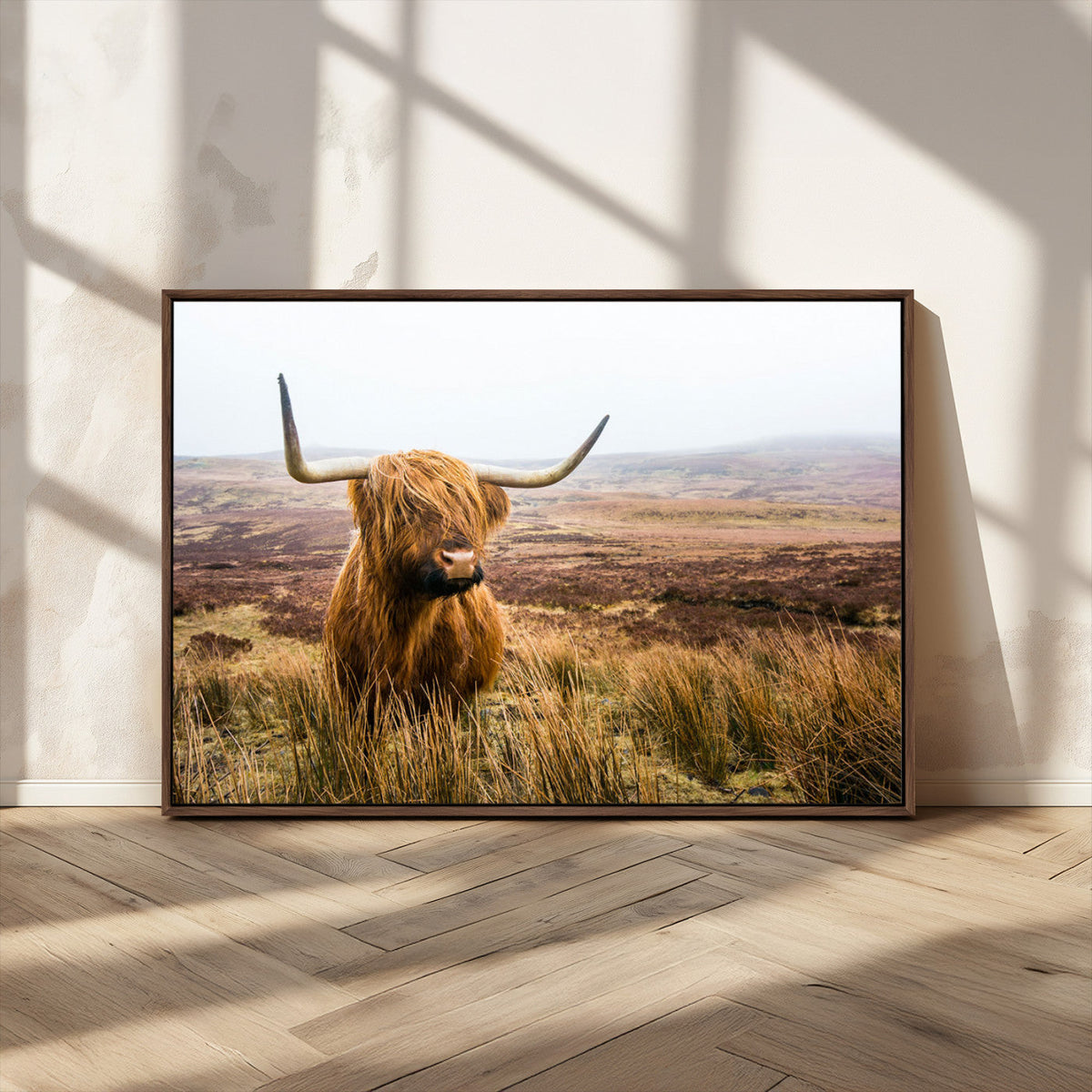 Scottish Highland Cow Canvas Wall Art – Rustic Farmhouse