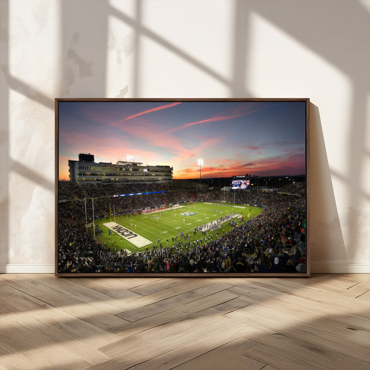 The University of Connecticut UCONN Huskies Football Team
