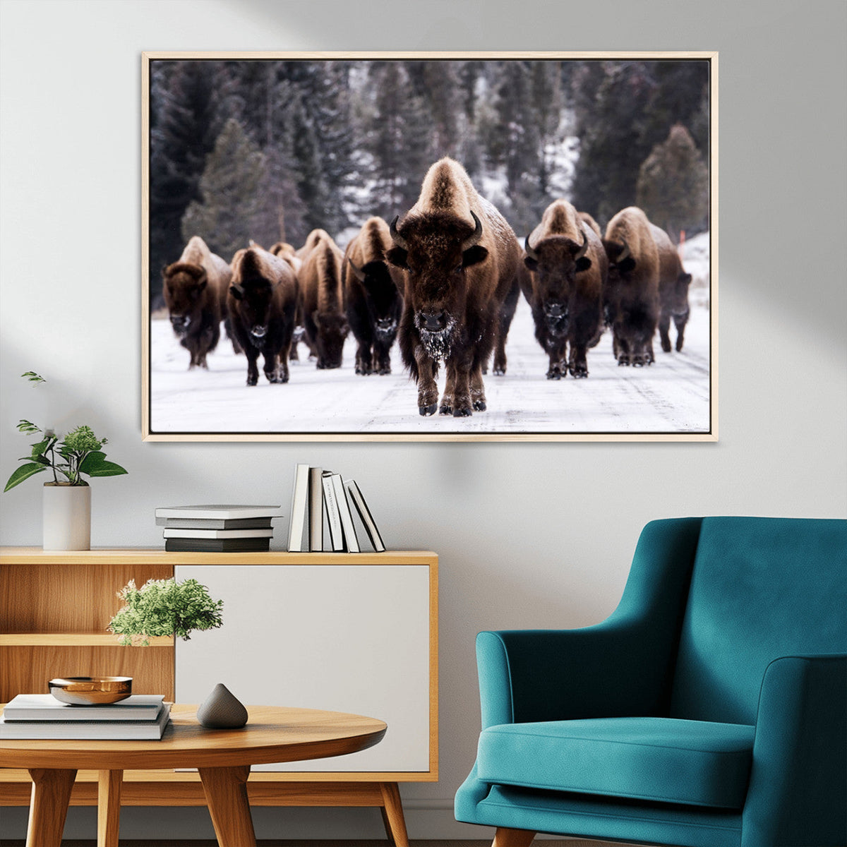 Bison Wall Art Canvas Print- Bison Herd Canvas Wall Art –